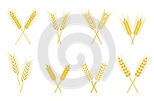 Set of simple wheats ears icons and wheat design elements.