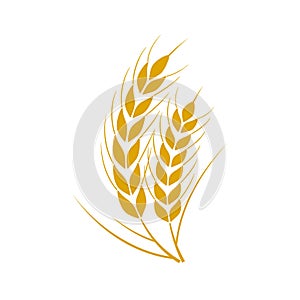 Set of simple wheats ears icons and wheat logo design elements for beer, organic fresh food corn farm, bakery themed