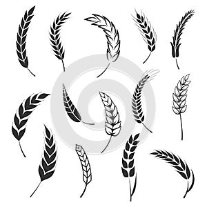 Set of simple wheats ears icons and wheat logo design elements for beer, organic fresh food corn farm, bakery themed