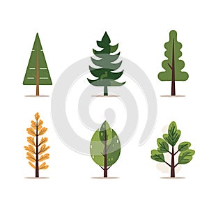 Set six different stylized trees vector illustration isolated white background. Various tree