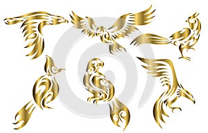 Set of six gold vector images of various birds such as eagle hawk pheasant and Spigot bulbul