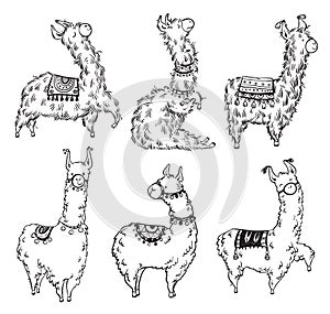 Set of six pretty hand drawn lamas, vector illustration