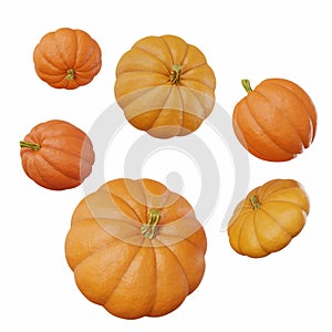 Set of six pumpkins of different sizes and shapes for halloween isolated white background