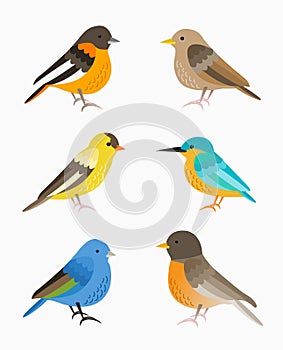 Set of birds illustration