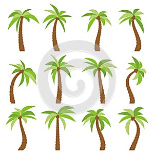 Set of sixteen different cartoon palm trees on white background