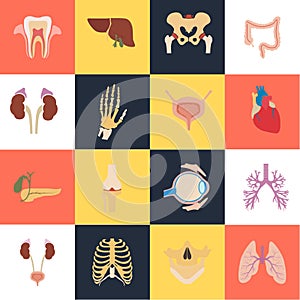 Set of sixteen human organs and anatomic parts color flat icons photo