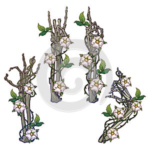 .Set of skeleton hands with various gestures decorated with dog-rose garlands. Colored linear drawing isolated on white