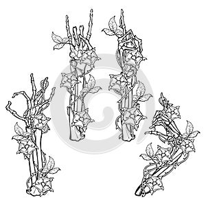 .Set of skeleton hands with various gestures decorated with dog-rose garlands. Colored linear drawing isolated on white