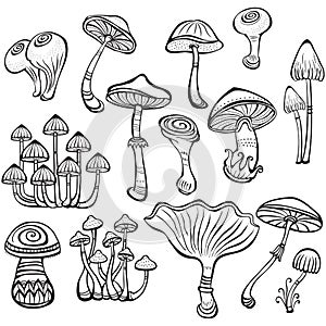 Set of Sketch of mushrooms photo