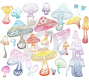 Set of Sketch of mushrooms