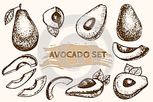 A set of sketches of the whole avocado, halves, slices, leaves.