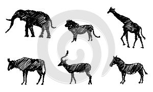 Set of Sketchy Silhouettes of Animals of Africa. Elephant, Giraffe, Lion, Impala, Zebra and Gnu.