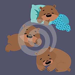 Set of sleeping grizzly bears. Collection of cartoon brown bears. Christmas illustration for children.