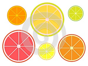 Set of slices of citruses tangerine, pomelo, lime, grapefruit, lemon, orange