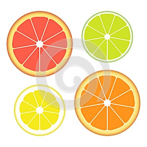 Set of slices of different citrus fruits isolated on white background. Juicy fruit. Vector Illustration.