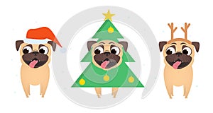 Set of smiling pugs dress up in christmas costume of Santa, xmas tree and Christmas deer.