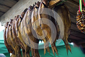 Set of smoked fish