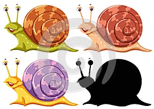 Set of snails on white background