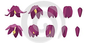 Set of snake`s head fritillary blooming flowers illustration