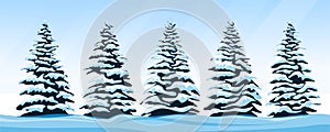 Set of snow-covered firs