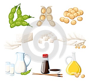 Set of soy products milk and oil in glass jug soy sauce in transparent bottle tofu and beans organic vegetarian food illust