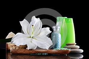 Set for spa-procedures On black background