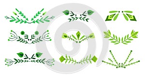Set of spacers with tribal twig. Vector nature design elements. Folk plant text delimiters for articles, invitations and cards.