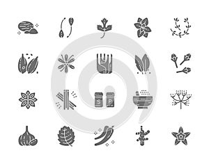 Set of Spice Grey Icons. Nutmeg, Capers, Parsley, Oregano, Cardamom and more.