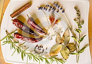 Set of spices on white background, pepper, rosemary, lavender, mint, bay leaf