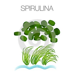 Set of spirulina algae, tablets, pills, powder and cells