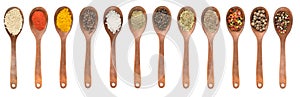 Set of spoons with different spices