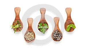Set of spoons with different spices and culinary herbs isolated on white background