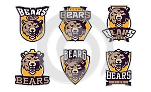 Set of sports logos with bear mascots. Colorful collection sports emblem with bear mascot and bold font on shield