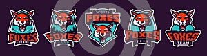 Set of sports logos with fox mascots. Colorful collection sports emblem with fox mascot and bold font on shield