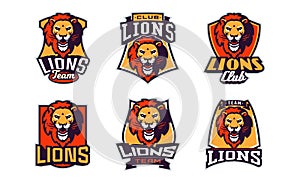 Set of sports logos with lion mascots. Colorful collection sports emblem with lion mascot and bold font on shield