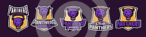 Set of sports logos with panther mascots. Colorful collection sports emblem with panther mascot and bold font on shield