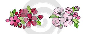 Set of spring apple flowers isolated objects on white background. Colorful vector set with black outline for season design