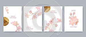 Set of spring backgrouds with sakura branch and golden circle, sun. Cherry blossoms.