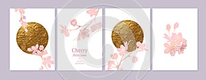 Set of spring backgrouds with sakura branch and golden circle, sun. Cherry blossoms. Design for card, wedding invitation