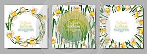 Set of Spring background with daffodils. Postcard, banner for Easter. Spring time. Frame with delicate spring flowers.