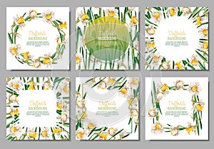 Set of Spring background with daffodils. Postcard, banner for Easter. Spring time. Frame with delicate spring flowers.