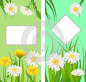 Set spring cards of floral flowers dandelions and daisies, chamomiles, grass backgrounds. Colorful spring vertical