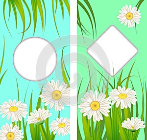 Set spring cards of floral flowers dandelions and daisies, chamomiles, grass backgrounds. Colorful spring vertical