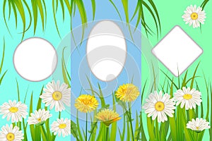 Set spring cards of floral flowers dandelions and daisies, chamomiles, grass backgrounds. Colorful spring vertical