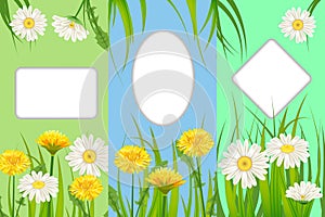 Set spring cards of floral flowers dandelions and daisies, chamomiles, grass backgrounds. Colorful spring vertical
