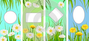 Set spring cards of floral flowers dandelions and daisies, chamomiles, grass backgrounds. Colorful spring vertical