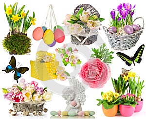 Set of spring flowers, easter eggs, butterfly
