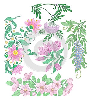 Set of spring flowers. Sakura. Vector illustration.