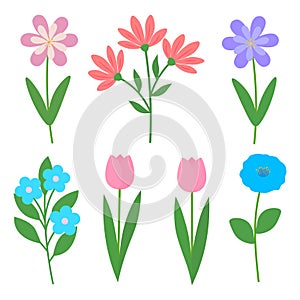 Set spring flowers vector illustration