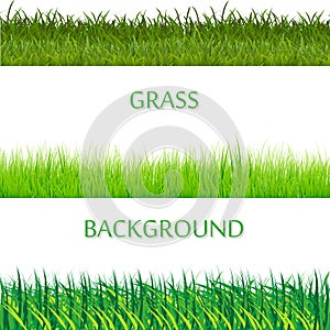 Set of spring green grass horizontal borders. Green grass collection on white background